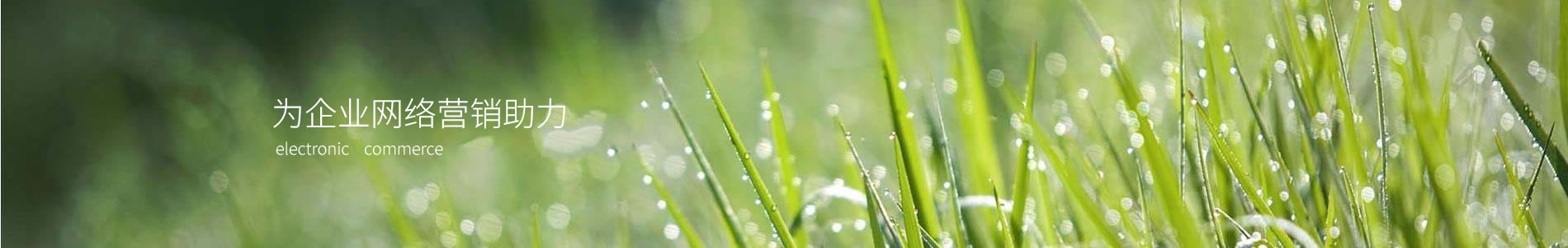 ֣ݺԶƼ޹˾